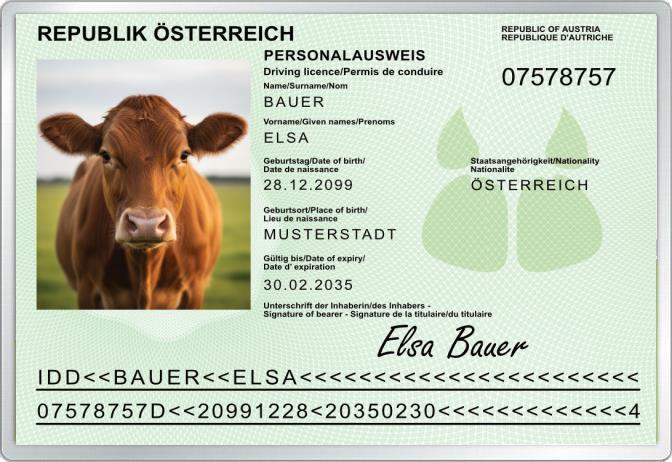 Kuh-Ausweis für Österreich - Komplett personalisierbar