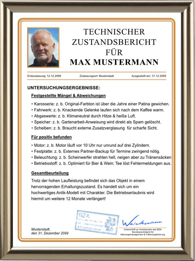 Technischer Zustandsbericht - Geschenk für den Geburtstag