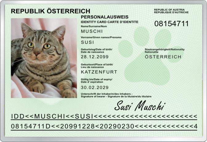 Personalausweis - Katze -  für Österreich - Komplett personalisierbar