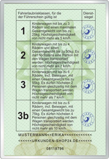 Kinderwagenführerschein - Für Österreich - Komplett personalisierbar