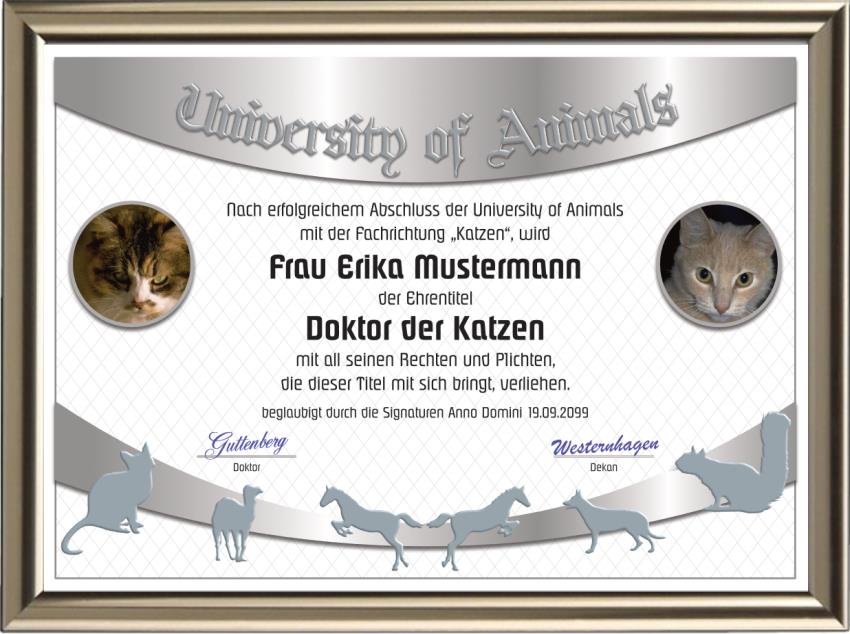 Doktortitel für Katzen-Liebhaber