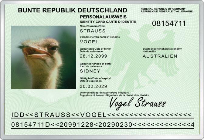 Personalausweis - Strauss -  Komplett personalisierbar