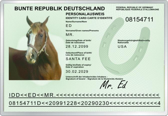 Personalausweis - Pferd -  Komplett personalisierbar