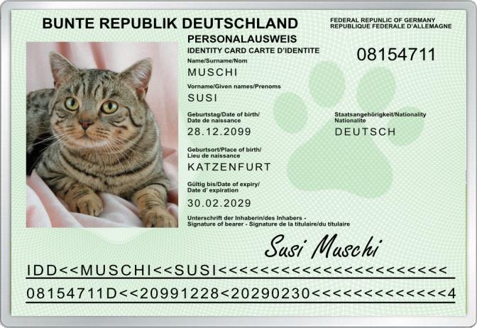 Personalausweis - Katze -  Komplett personalisierbar